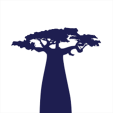 image baobab